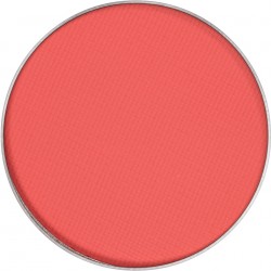 Kryolan recharge blusher
