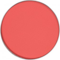 Kryolan recharge blusher